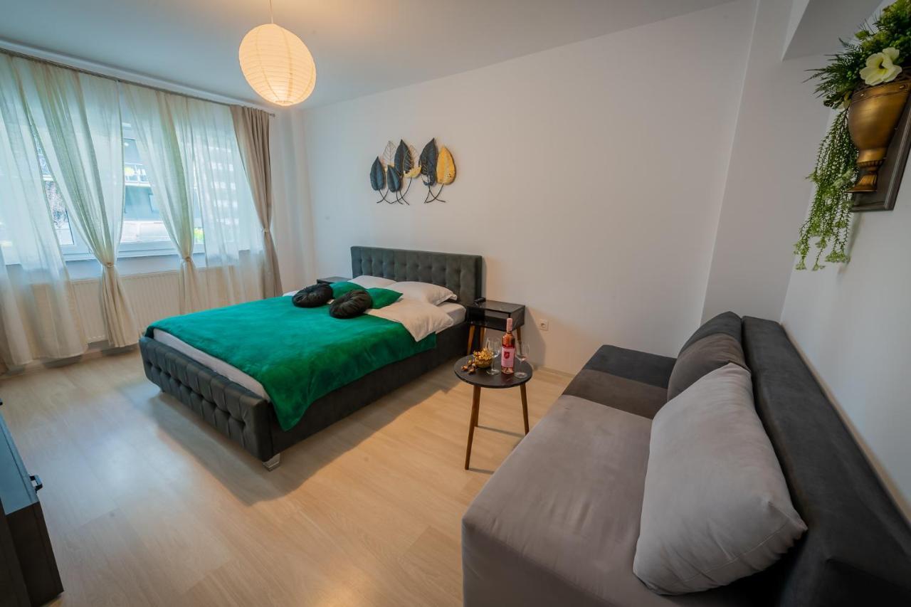 Coresi Vibe Studio Braşov Extérieur photo