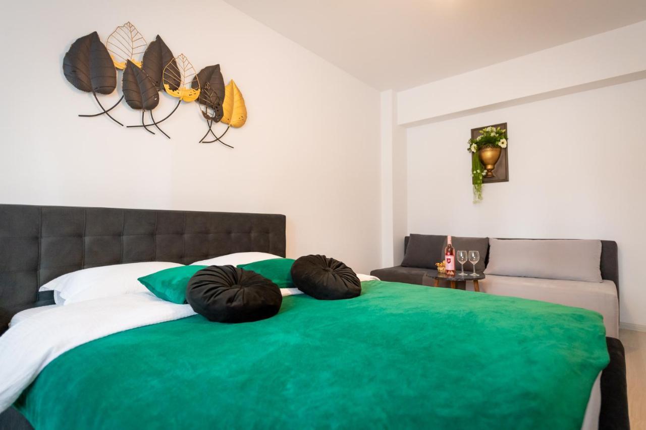Coresi Vibe Studio Braşov Extérieur photo