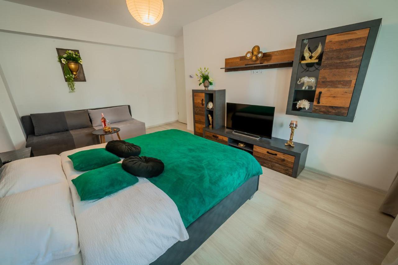 Coresi Vibe Studio Braşov Extérieur photo
