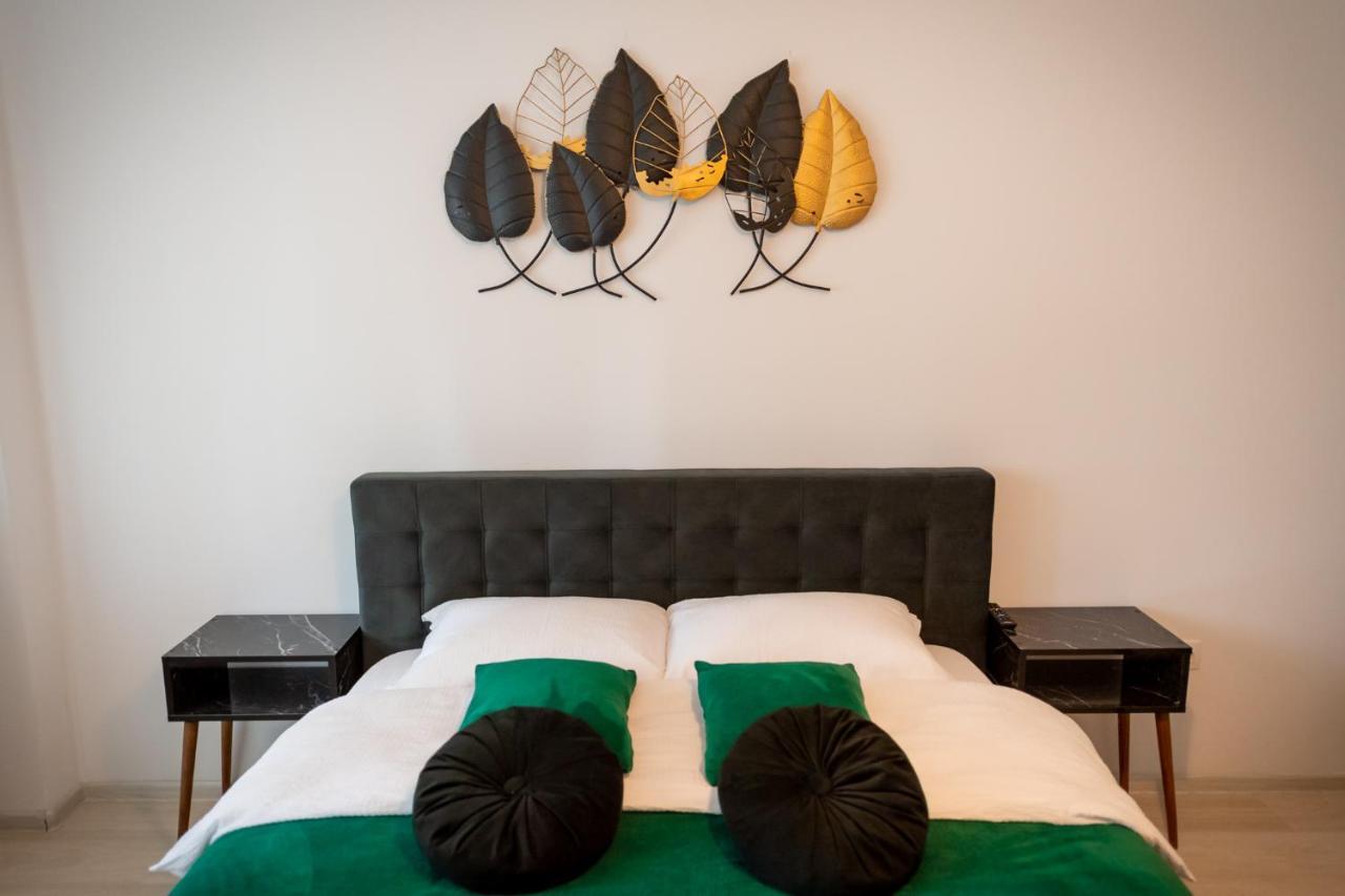 Coresi Vibe Studio Braşov Extérieur photo