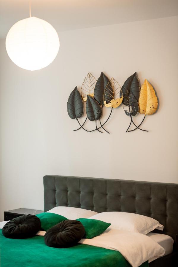 Coresi Vibe Studio Braşov Extérieur photo