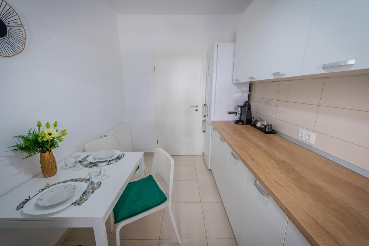 Coresi Vibe Studio Braşov Extérieur photo