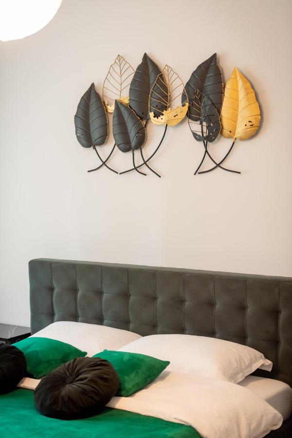 Coresi Vibe Studio Braşov Extérieur photo