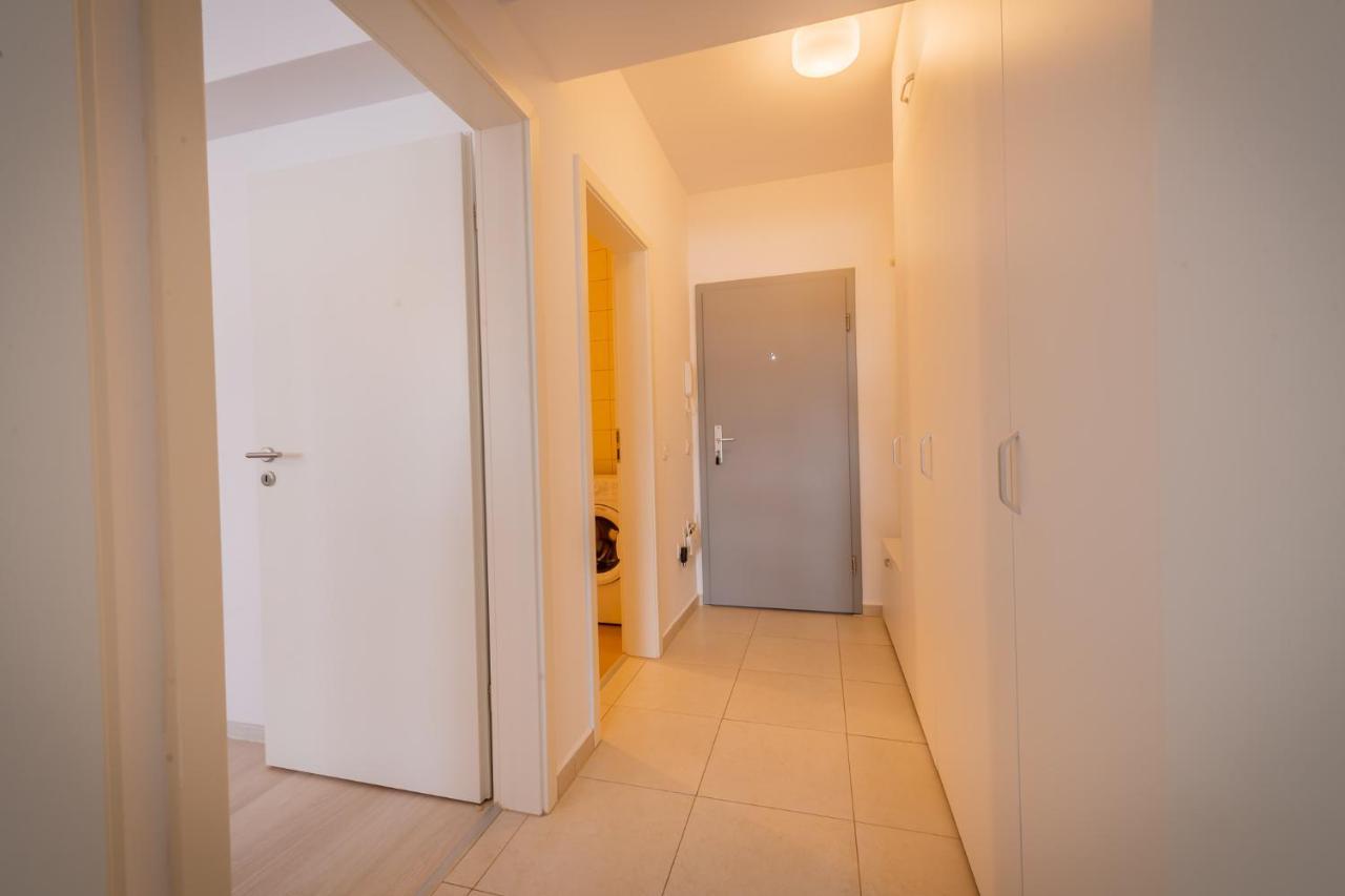 Coresi Vibe Studio Braşov Extérieur photo