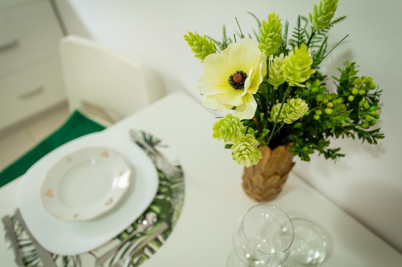 Coresi Vibe Studio Braşov Extérieur photo