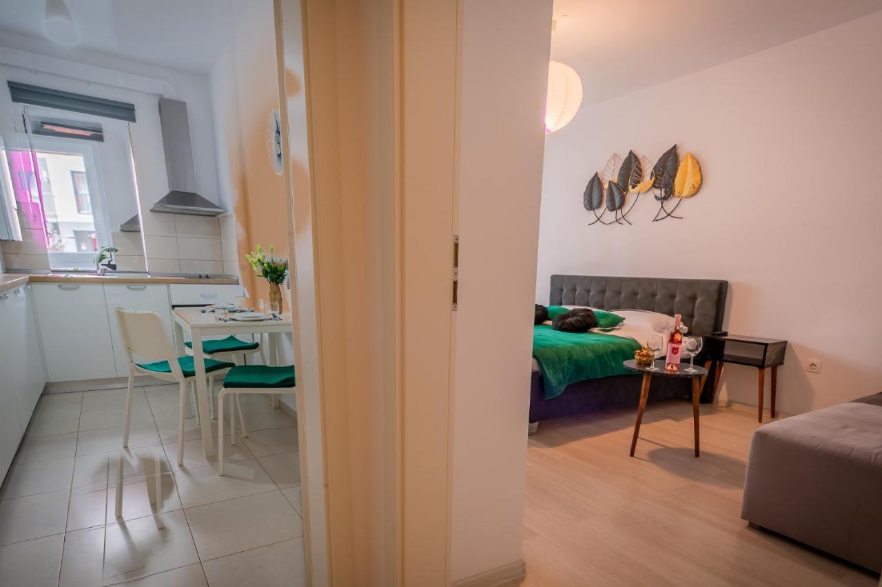 Coresi Vibe Studio Braşov Extérieur photo