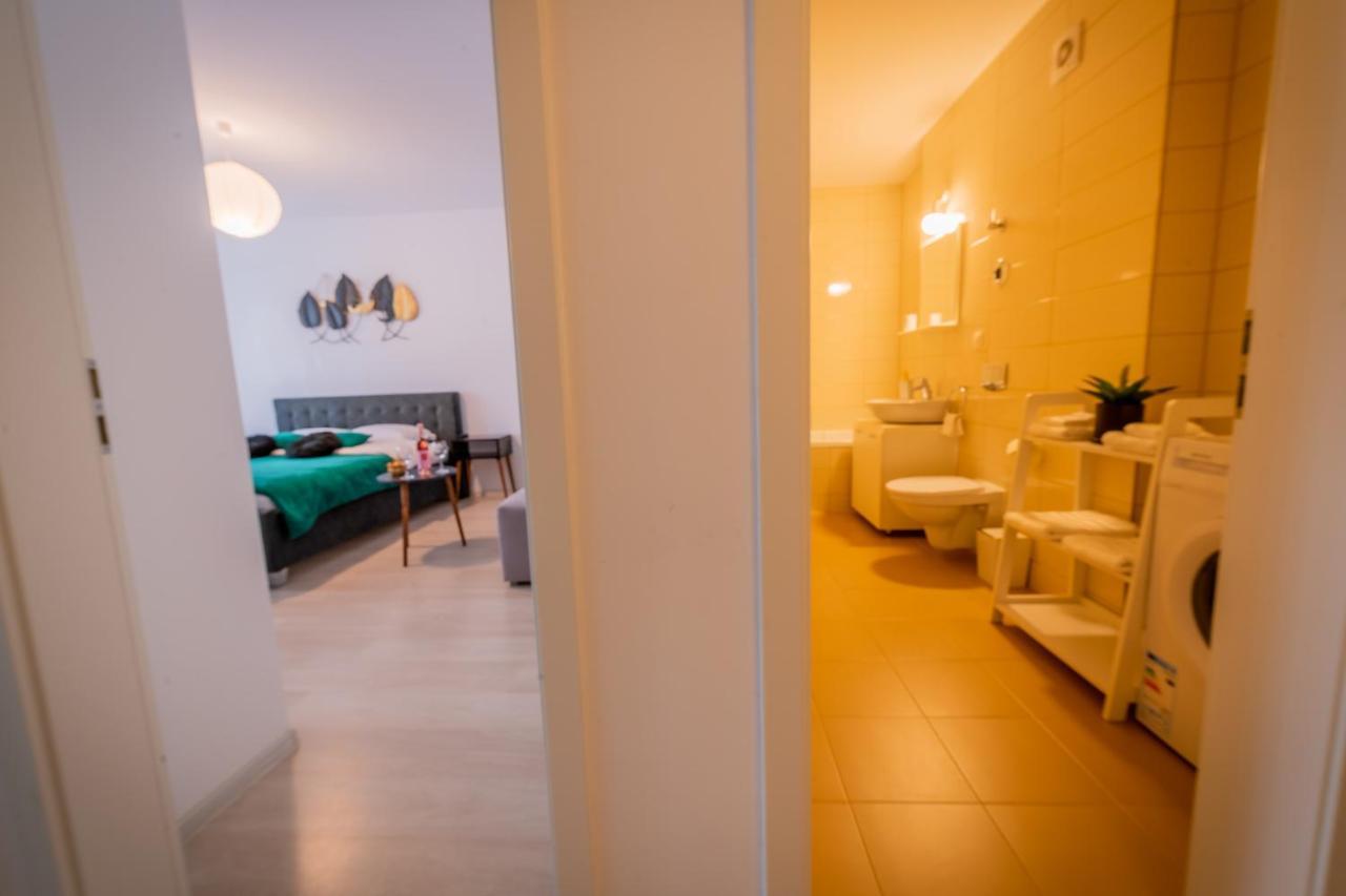 Coresi Vibe Studio Braşov Extérieur photo