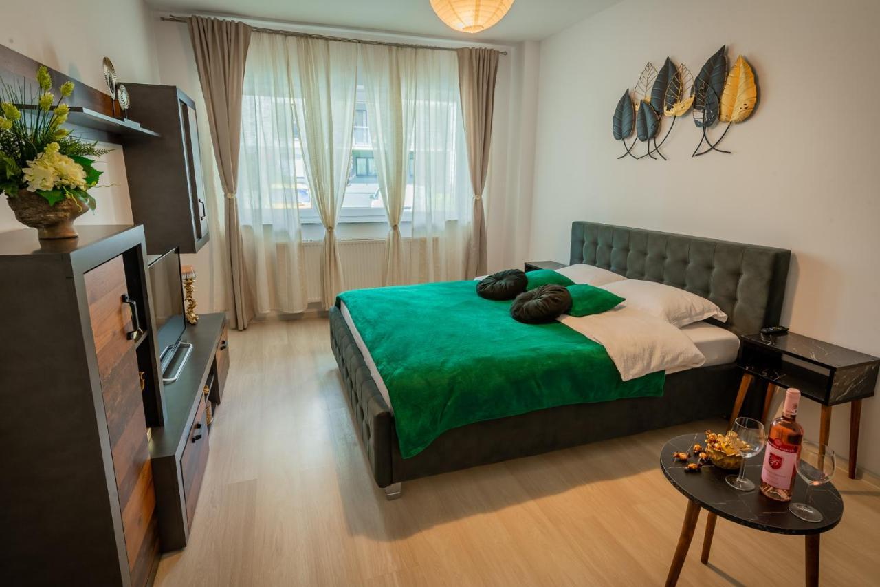Coresi Vibe Studio Braşov Extérieur photo